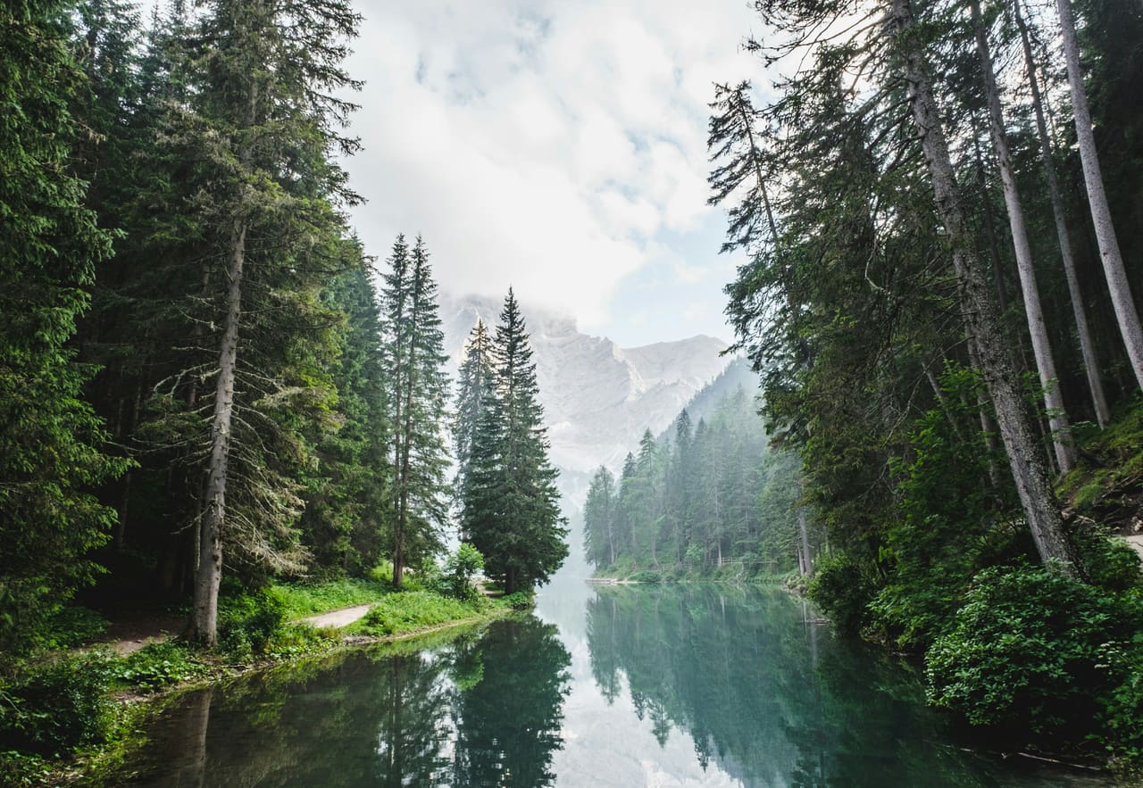 Waldweg an einem stillen Alpensee, Berge im Hintergrund